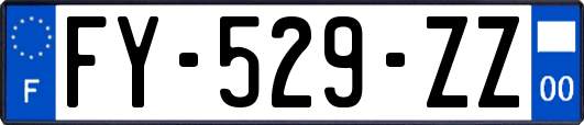 FY-529-ZZ