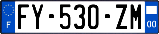 FY-530-ZM