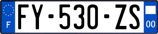 FY-530-ZS