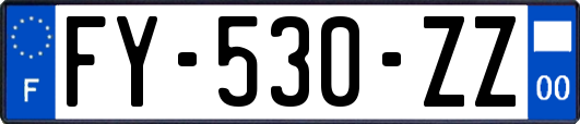 FY-530-ZZ