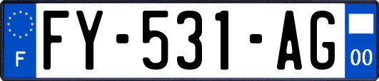 FY-531-AG