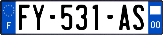 FY-531-AS