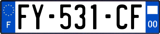FY-531-CF
