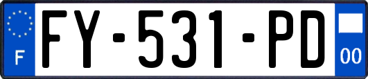 FY-531-PD