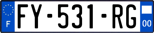 FY-531-RG