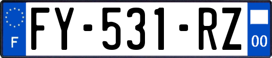 FY-531-RZ