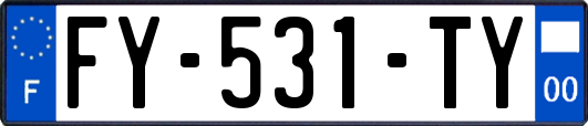 FY-531-TY