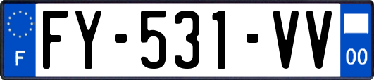 FY-531-VV