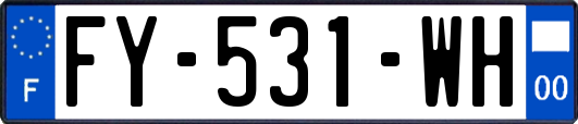 FY-531-WH
