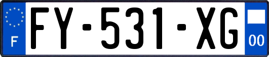 FY-531-XG