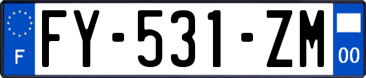 FY-531-ZM