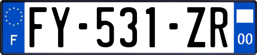 FY-531-ZR