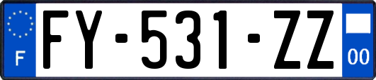FY-531-ZZ