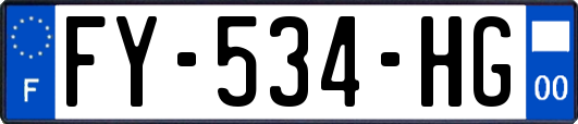 FY-534-HG