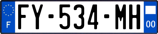 FY-534-MH