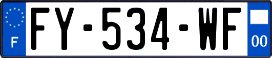 FY-534-WF