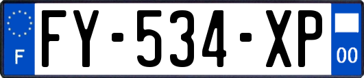 FY-534-XP