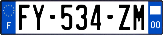 FY-534-ZM