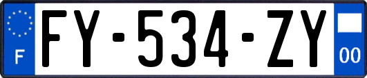 FY-534-ZY