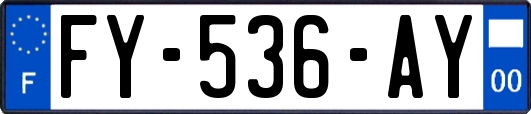 FY-536-AY