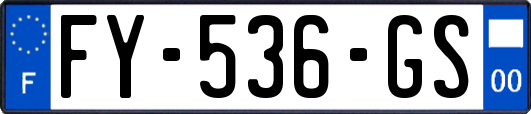 FY-536-GS