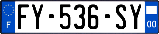 FY-536-SY
