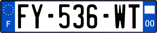 FY-536-WT