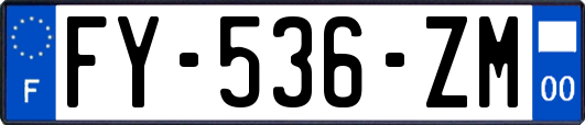 FY-536-ZM