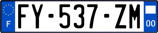 FY-537-ZM