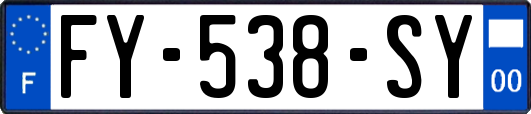 FY-538-SY
