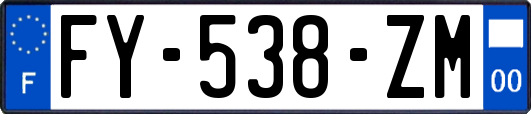 FY-538-ZM