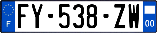 FY-538-ZW