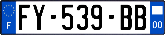 FY-539-BB