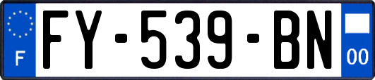 FY-539-BN