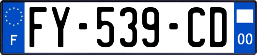 FY-539-CD