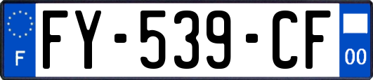 FY-539-CF