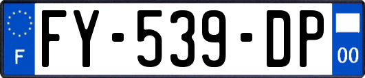 FY-539-DP