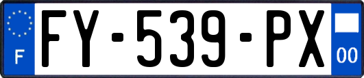 FY-539-PX