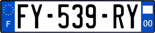 FY-539-RY