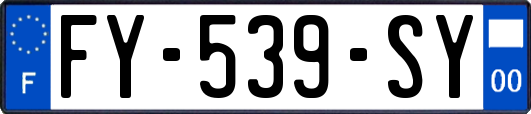 FY-539-SY
