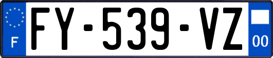 FY-539-VZ