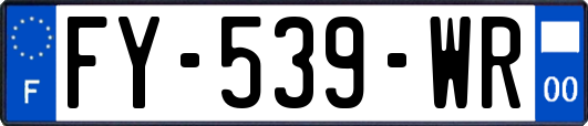 FY-539-WR