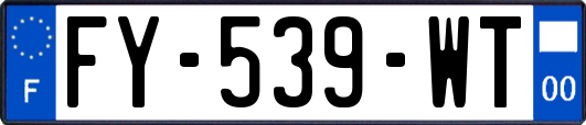 FY-539-WT