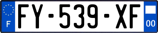 FY-539-XF