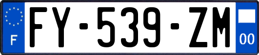 FY-539-ZM