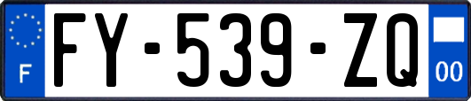 FY-539-ZQ