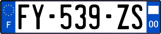 FY-539-ZS