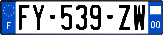 FY-539-ZW
