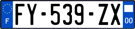 FY-539-ZX