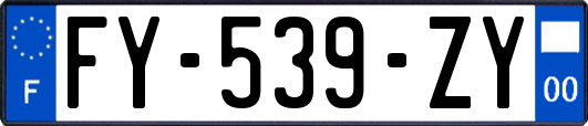 FY-539-ZY
